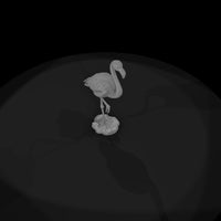 ant-127-greater-flamingo-male — thumbnail 6