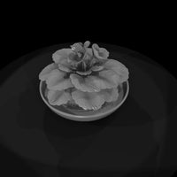 potted-african-violet-miniature-3d-printable-462562 — thumbnail 7