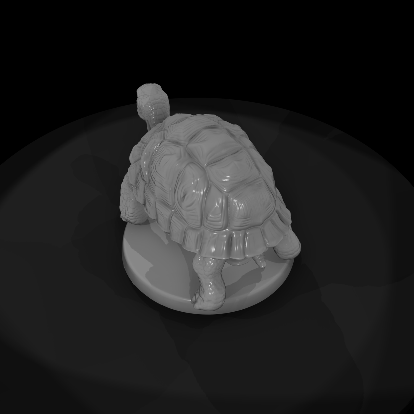 Giant Land Tortoise