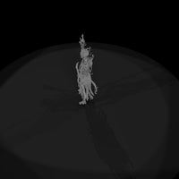 skeleton-druid — thumbnail 8