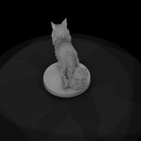 anim-16-maine-coon-cat-4bc6da — thumbnail 6