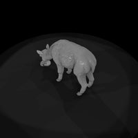 ant-221-alpaca-female — thumbnail 6