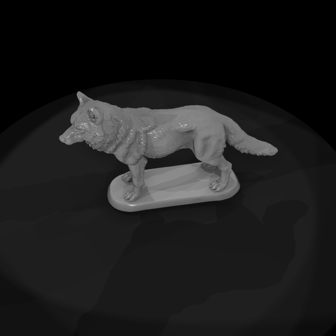 Ww 0313 Animal Gray Wolf