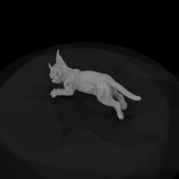 ant-165-caracal-adolescent — thumbnail 6