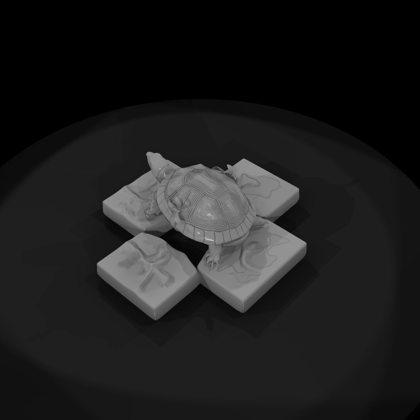 stylized-box-tortoise-3d-model-c5aktigk-67a07e