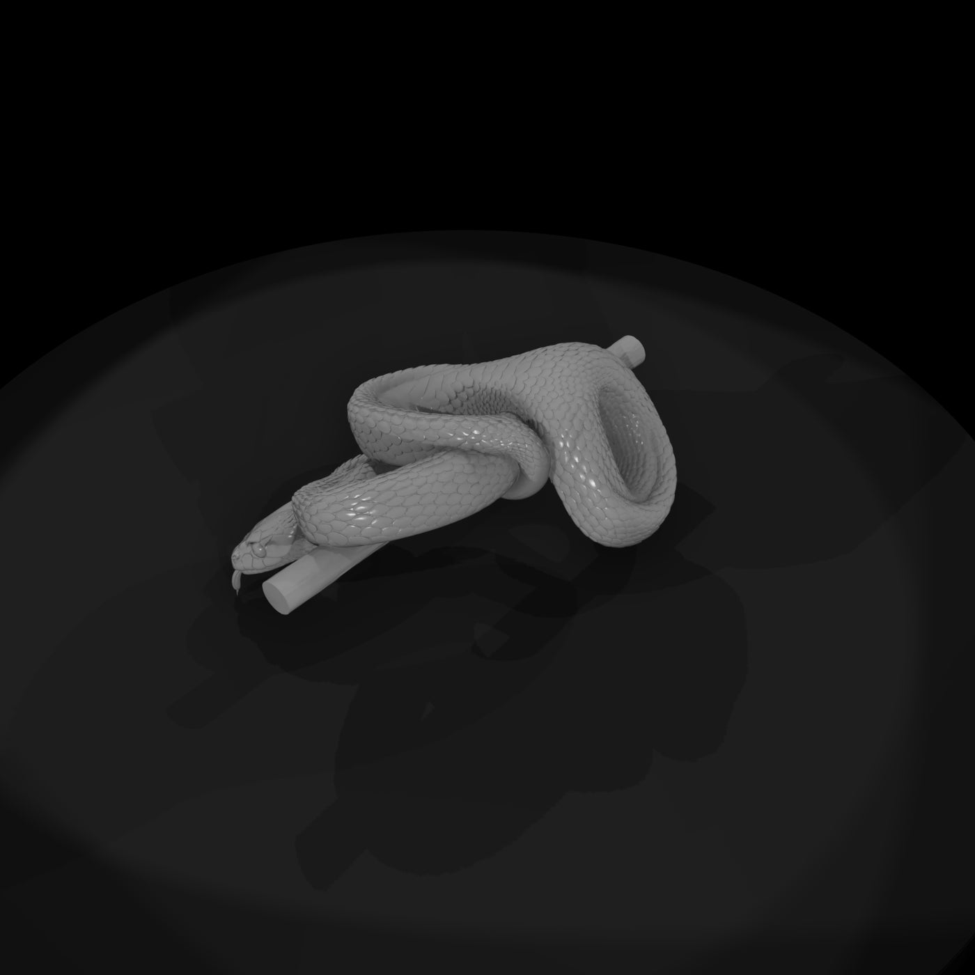 coiled-snake-on-branch-diorama-accent-452272