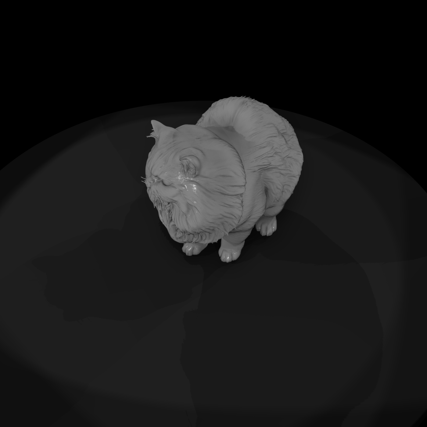 A Collection Of Housecats Persian D66555Ba Meshref