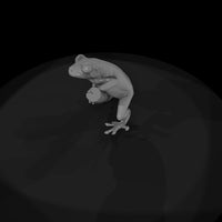 stylized_3d_tree_frog_on_branch_chjuomkt — thumbnail 6