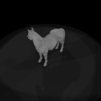 ww-0291-animal-pinto-pony — thumbnail 6