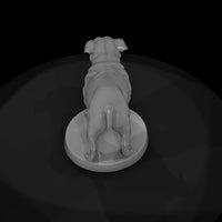 anim-03-bulldog-2c387e — thumbnail 7