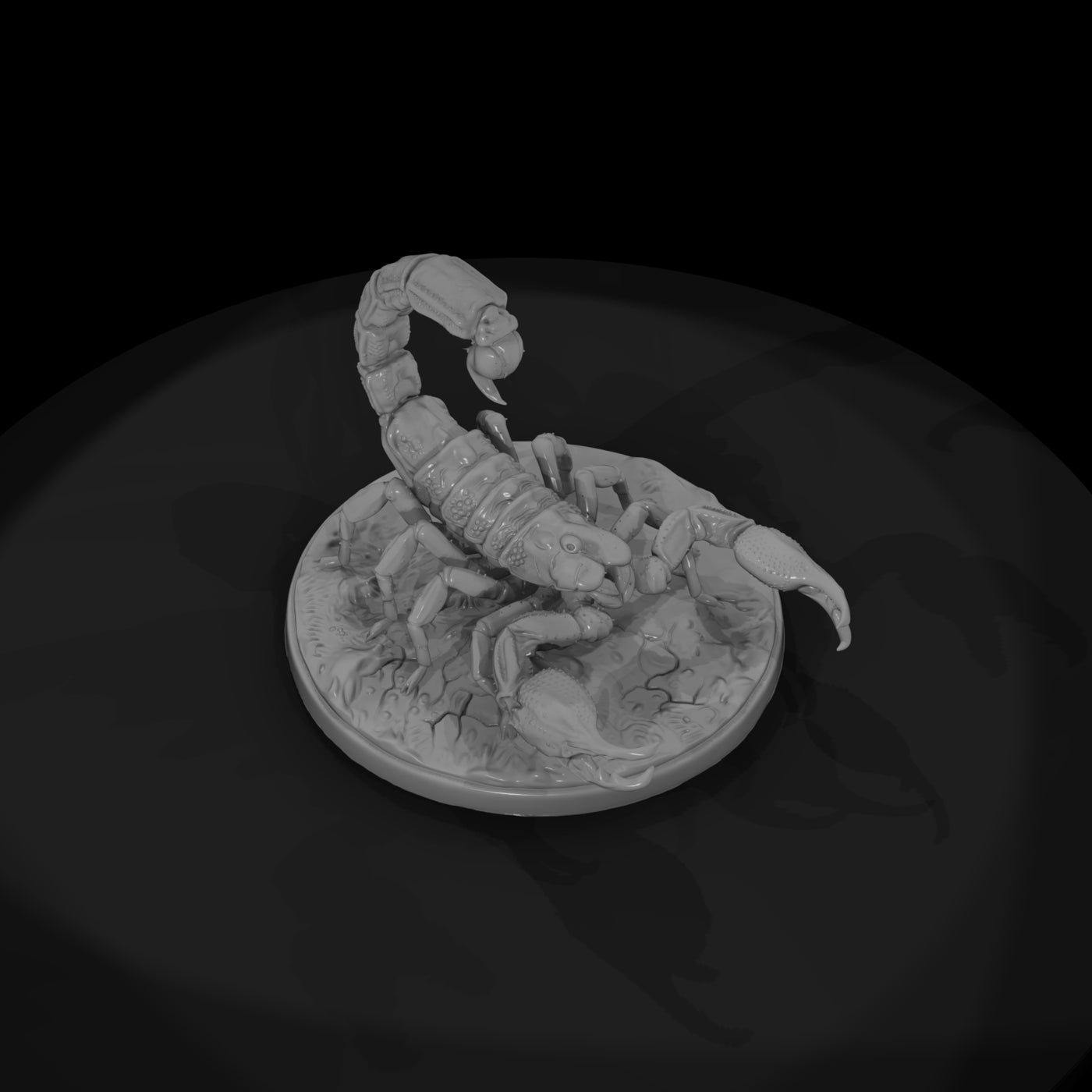 ww-0340-animal-desert-scorpion