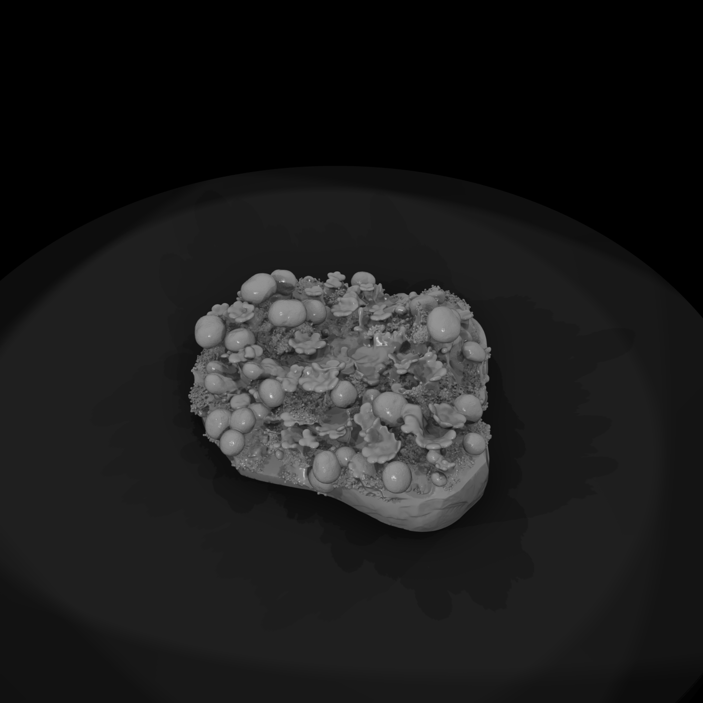 Stylized Lichen Cluster — Botanical Scenery