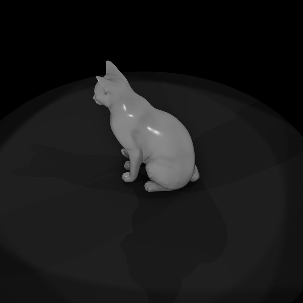 stylized_3d_sitting_house_cat_rx7729zn