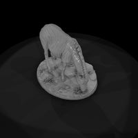 ant-029-plains-zebra-female — thumbnail 6