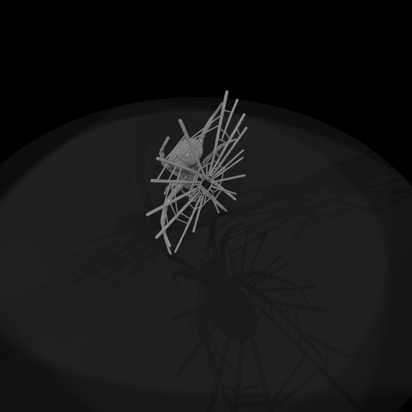 Stylized Spider on Web