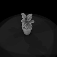 stylized-potted-rubber-plant-miniature-910726 — thumbnail 7