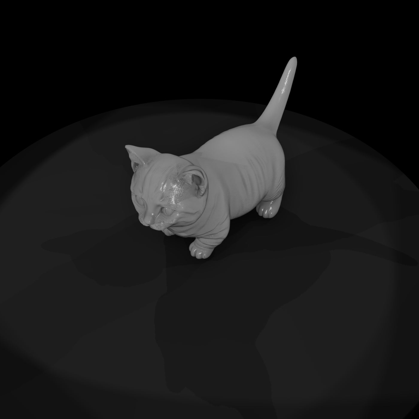 a-collection-of-housecats-munchkin-e876df2e-meshre