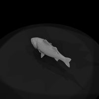 striped-bass-miniature-3d-printable-for-dioramas-model-railroads-886837 — thumbnail 7