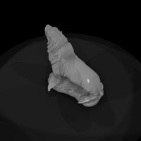 ant-139-sea-lion-male — thumbnail 6