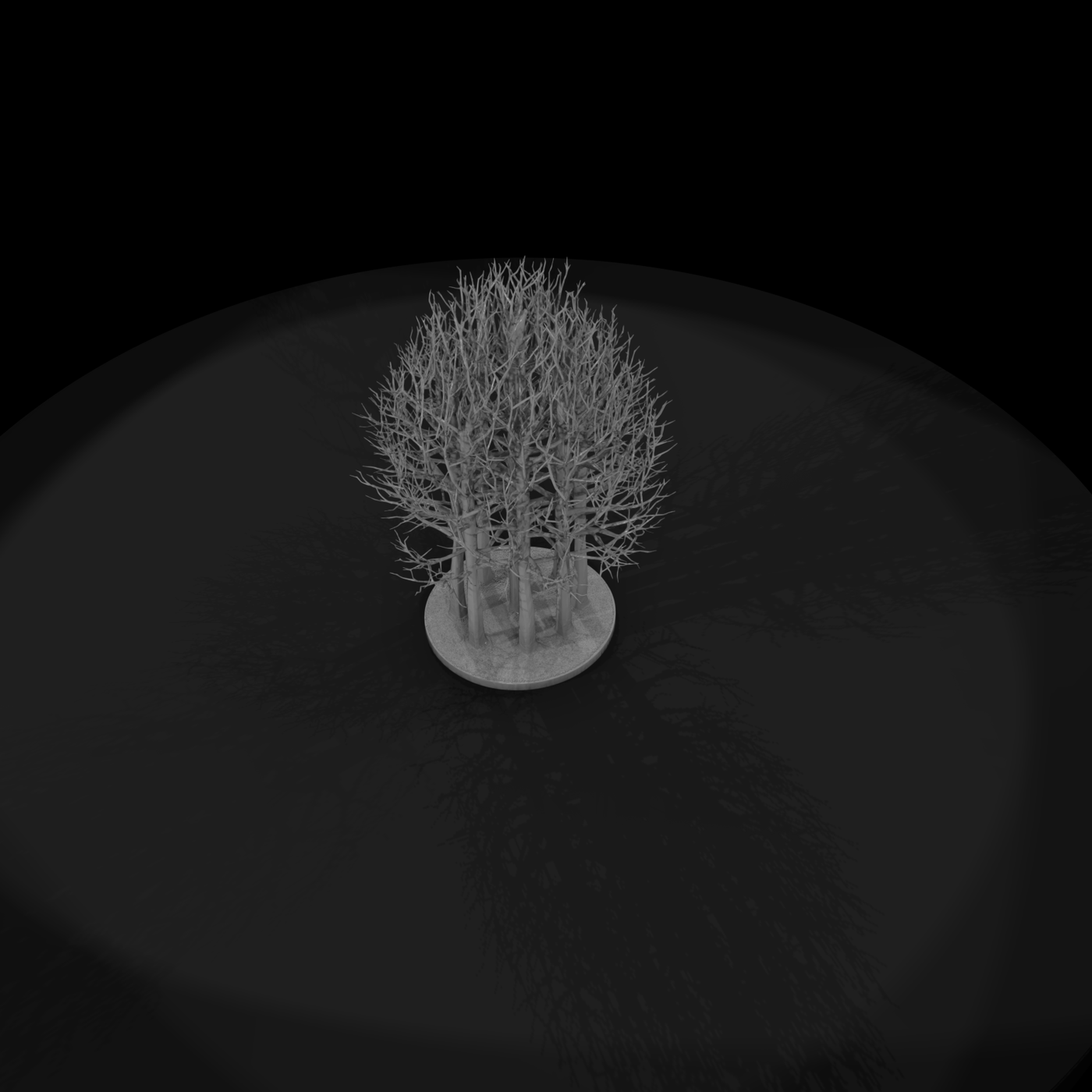 Bare Winter Tree Grove on Round Base