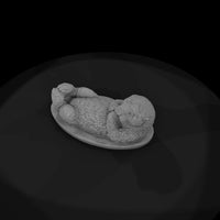 ant-184-sea-otter-male — thumbnail 6