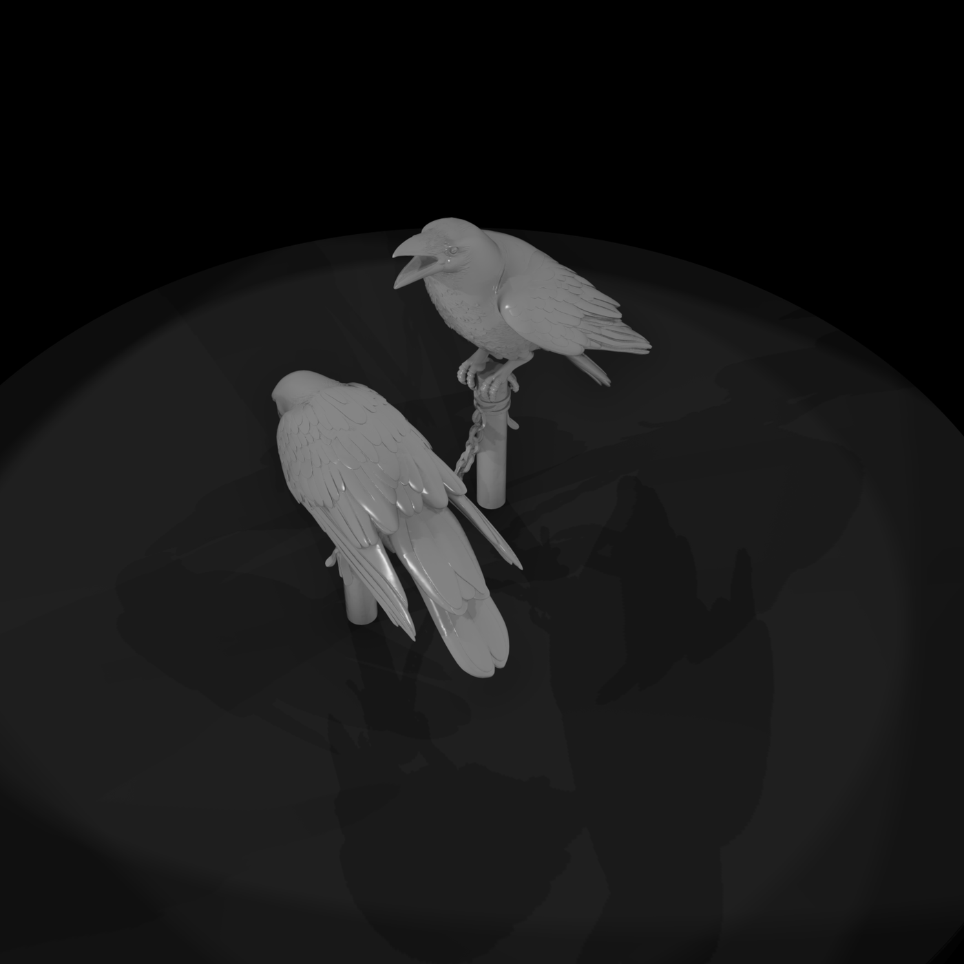 Detailed Raven Pair
