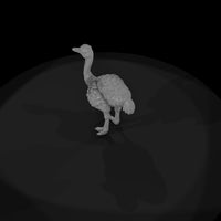 ant-084-ostrich-adolescent — thumbnail 6