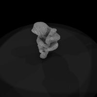 ant-204-three-toed-sloth-adolescent — thumbnail 6