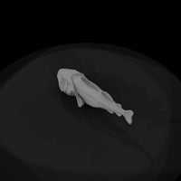 fanged-fish-diorama-sculpture-426223 — thumbnail 7