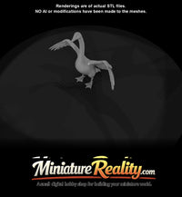 swan-spreading-with-wings-estimated — thumbnail 6