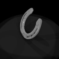ww-0371-item-horseshoe — thumbnail 6