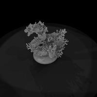 Coral Sea Serpent And — thumbnail 7