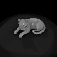 a_collection_of_housecats_polydactyl_21692ca8_meshref — thumbnail 6