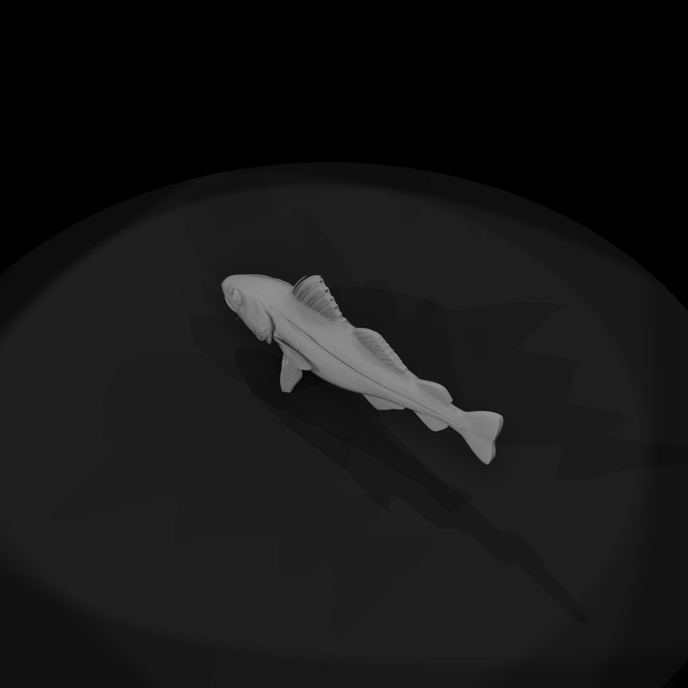 atlantic-cod-untextured-base-mesh-278575