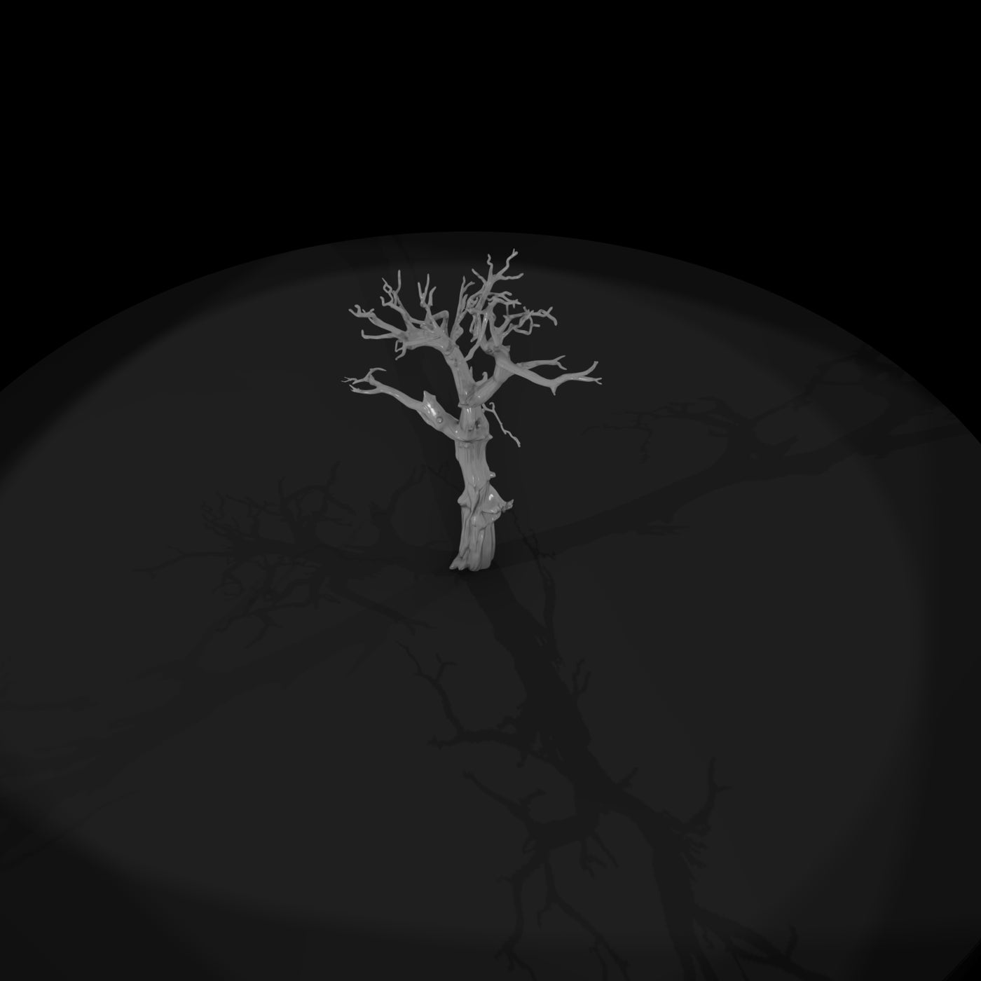 20260612-ancient-gnarled-dead-tree-d8d5631dc7