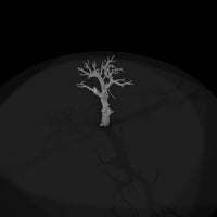 20260612-ancient-gnarled-dead-tree-d8d5631dc7 — thumbnail 7