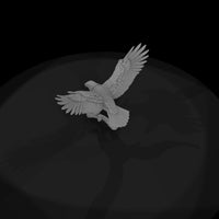 ant-113-bald-eagle-female — thumbnail 6
