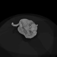 ant-012-cheetah-adolescent — thumbnail 6