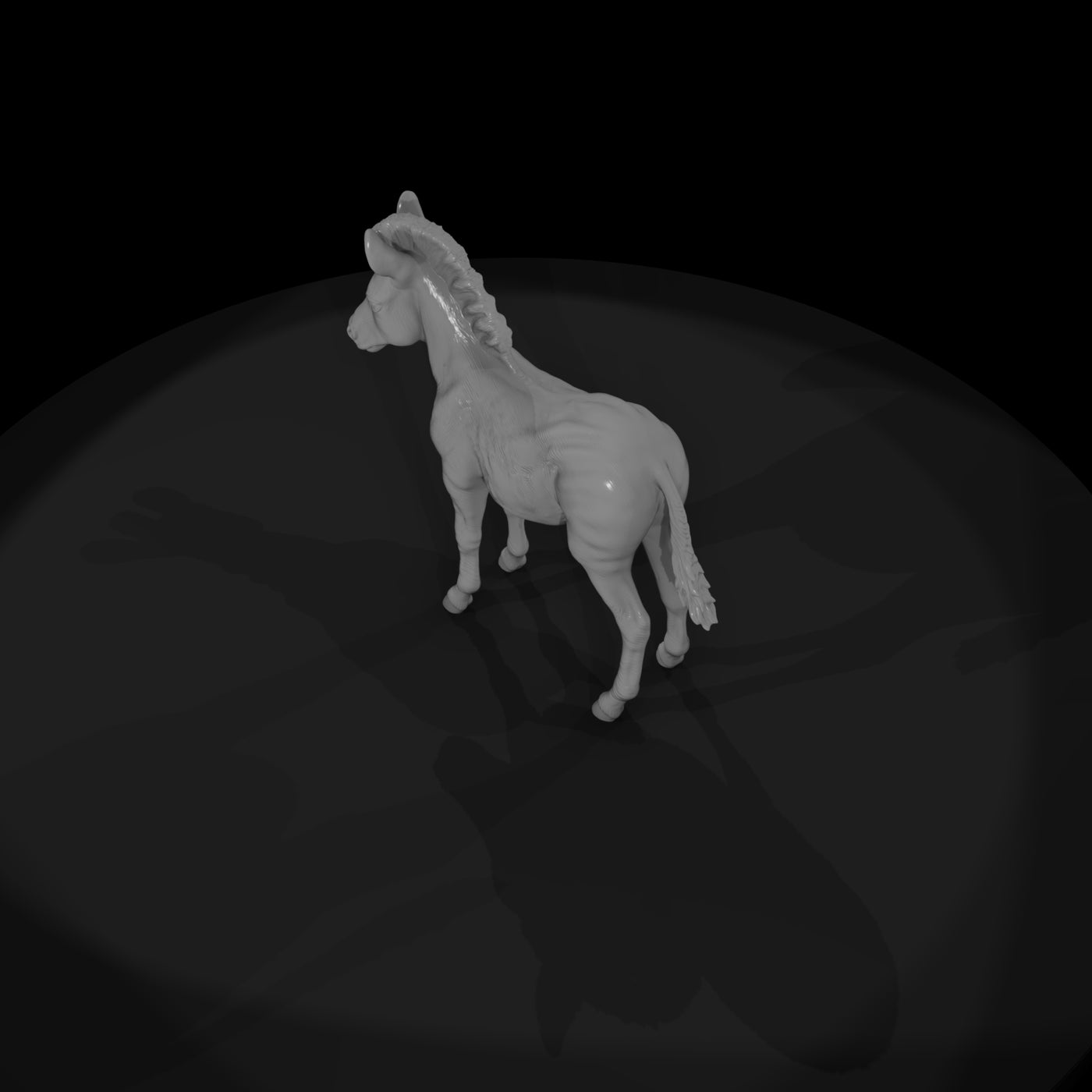 ant-030-plains-zebra-adolescent
