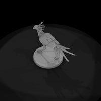 ant-292-secretary-bird-male — thumbnail 6
