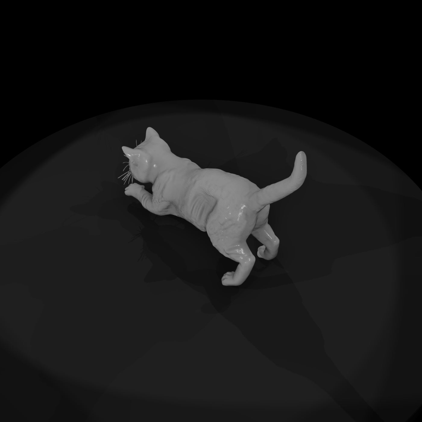 a-collection-of-housecats-kitten-9bb1aa91-meshref