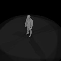concert-goer — thumbnail 8