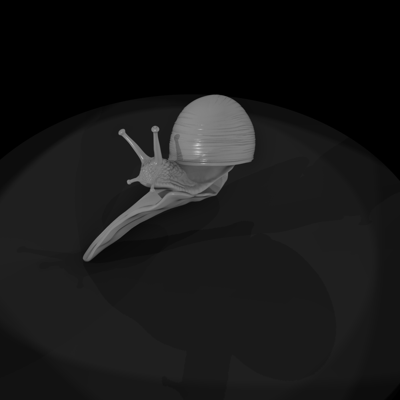 Garden Snail & Railway Layout