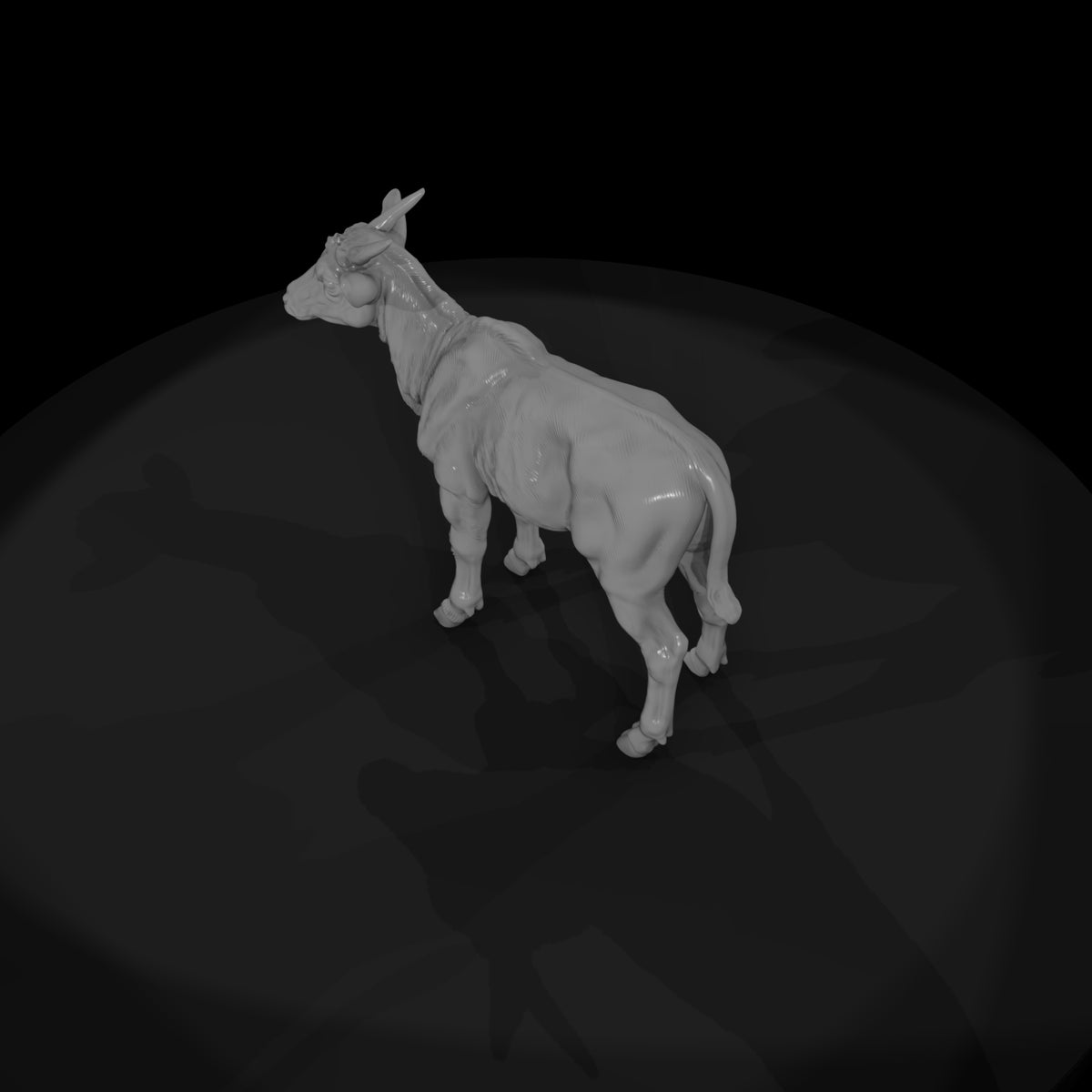 ant-243-eland-adolescent