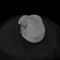 mimic-drawstring-bag-fantasy-rpg-tabletop-prop-336464 — thumbnail 7