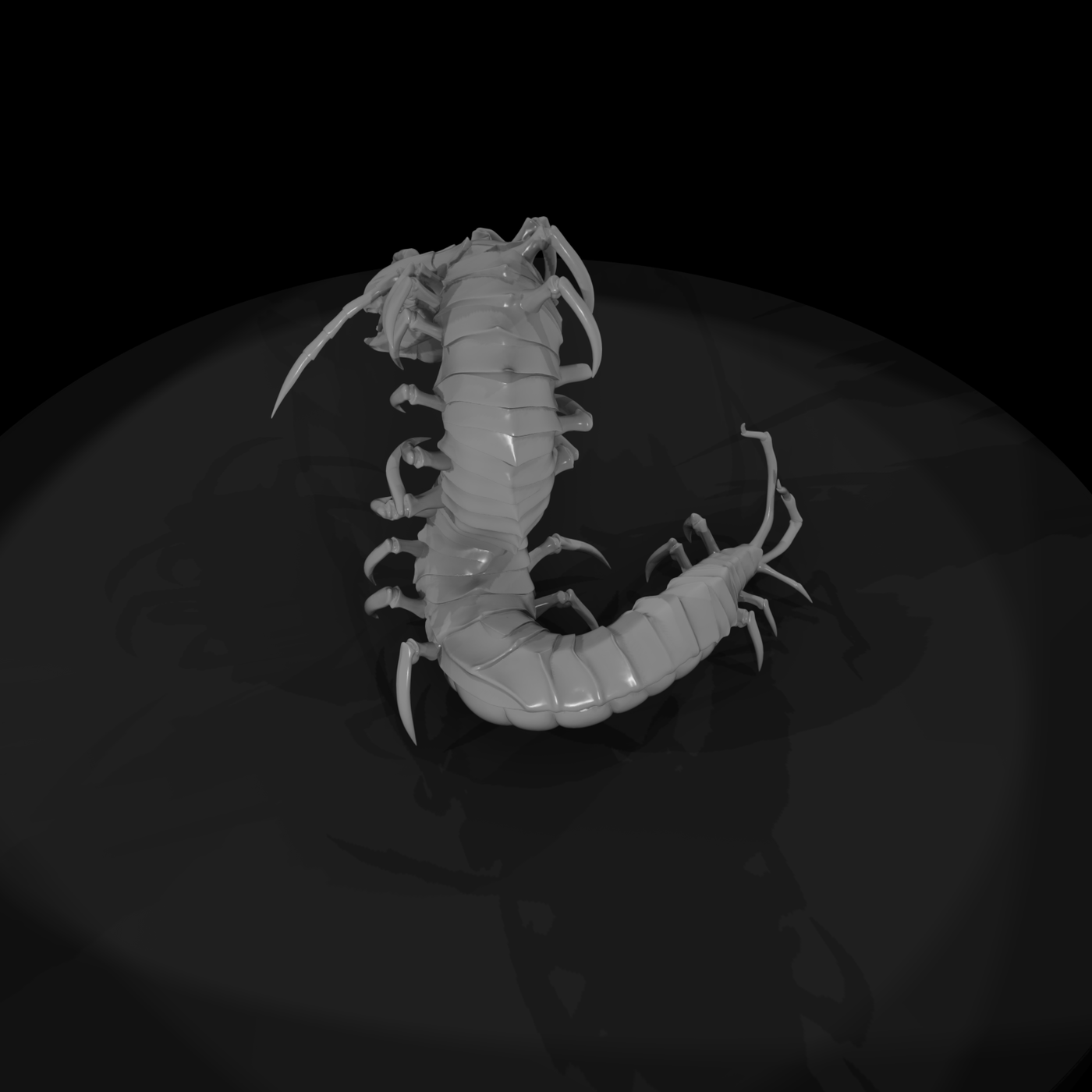Giant Centipede