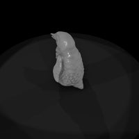 ant-126-emperor-penguin-adolescent-005fe0 — thumbnail 7
