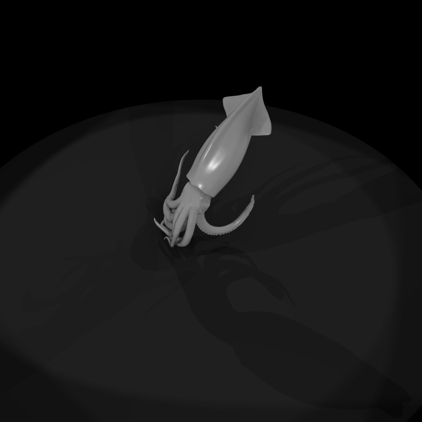20260612-detailed-grey-squid-8f04875c8d