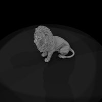 cir-114-animal-sitting-lion — thumbnail 6