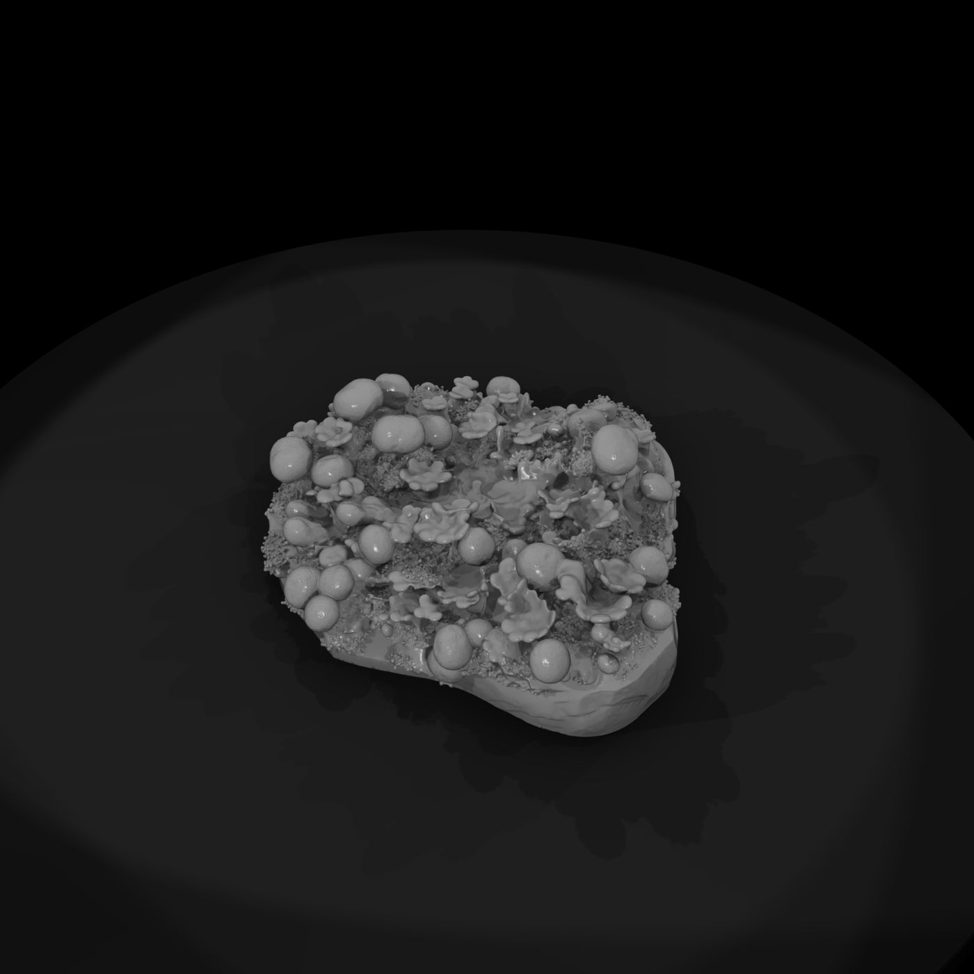 stylized-lichen-cluster-3d-botanical-model-bllwbeh-6d660c